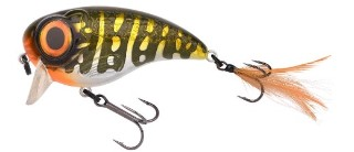0001_Spro_Fat_Iris_80_[Northern_Pike].jpg